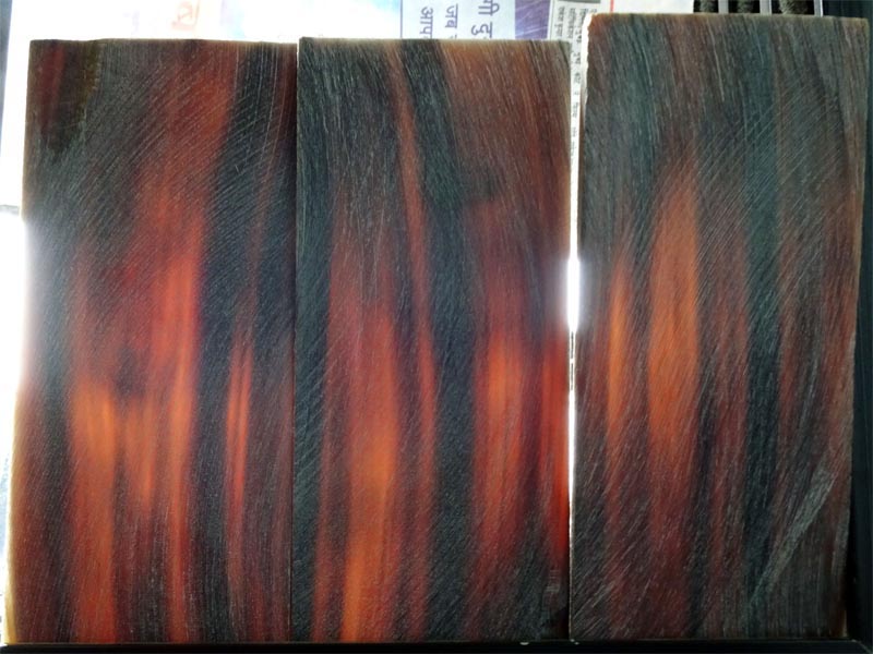 Dark Brown Buffalo Horn Plates