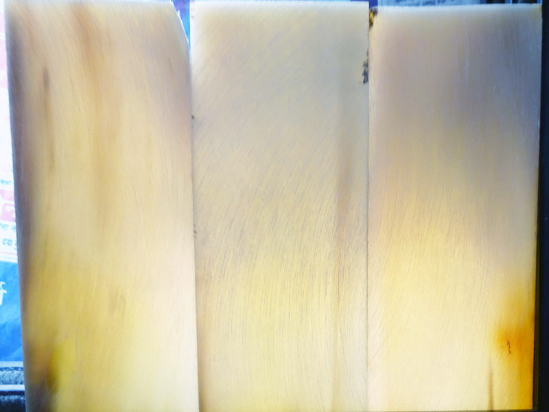 Milky White Buffalo Horn Plates